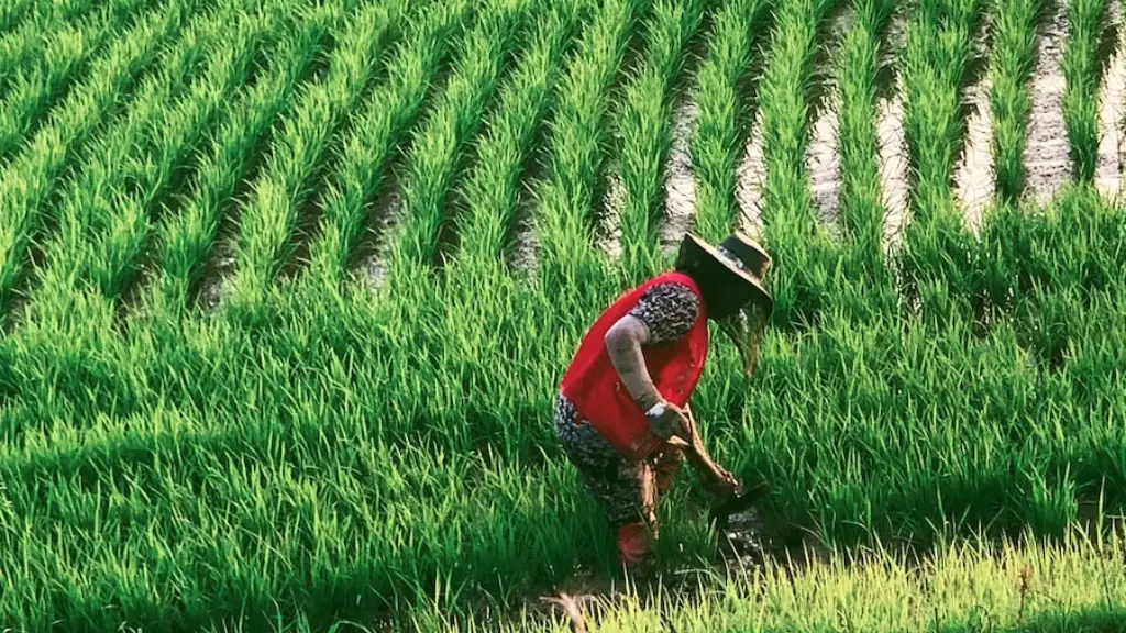 What percentage of california’s economy is agriculture?