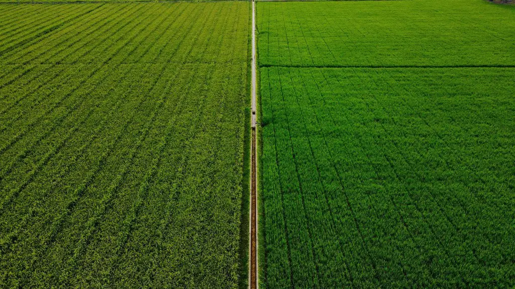 Is regenerative agriculture expensive?