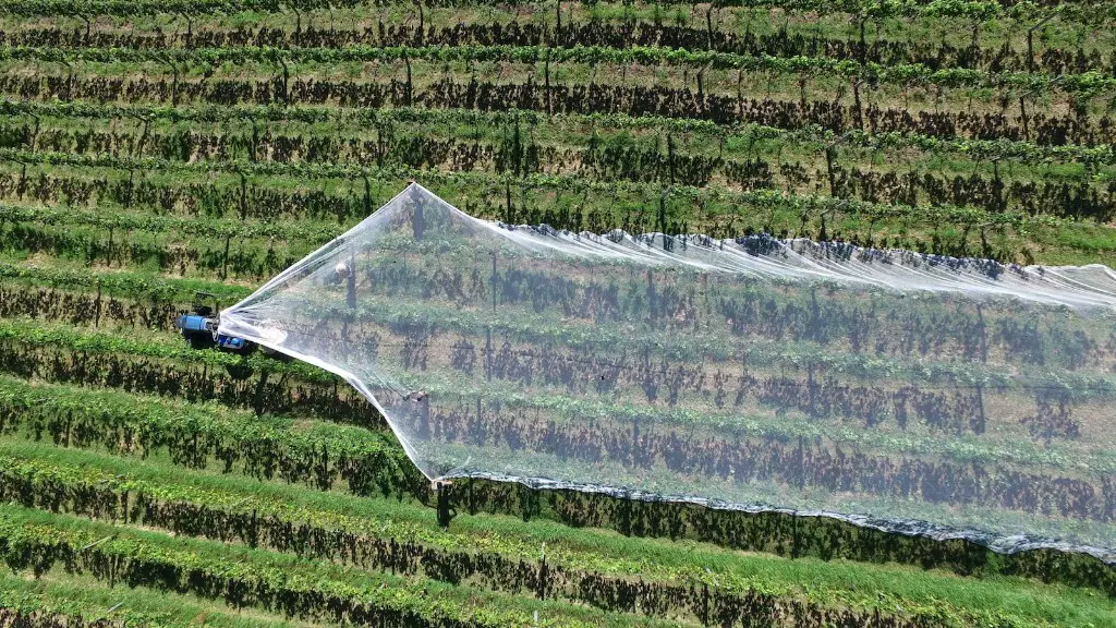 Why is genetic engineering used in agriculture?