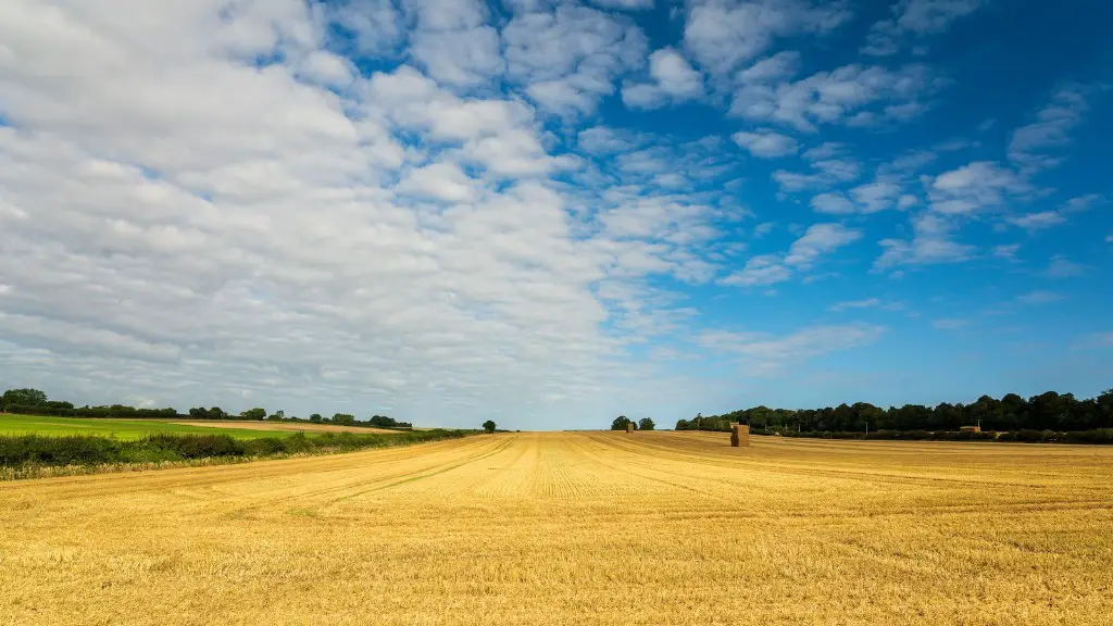 How does agriculture affect the water cycle?