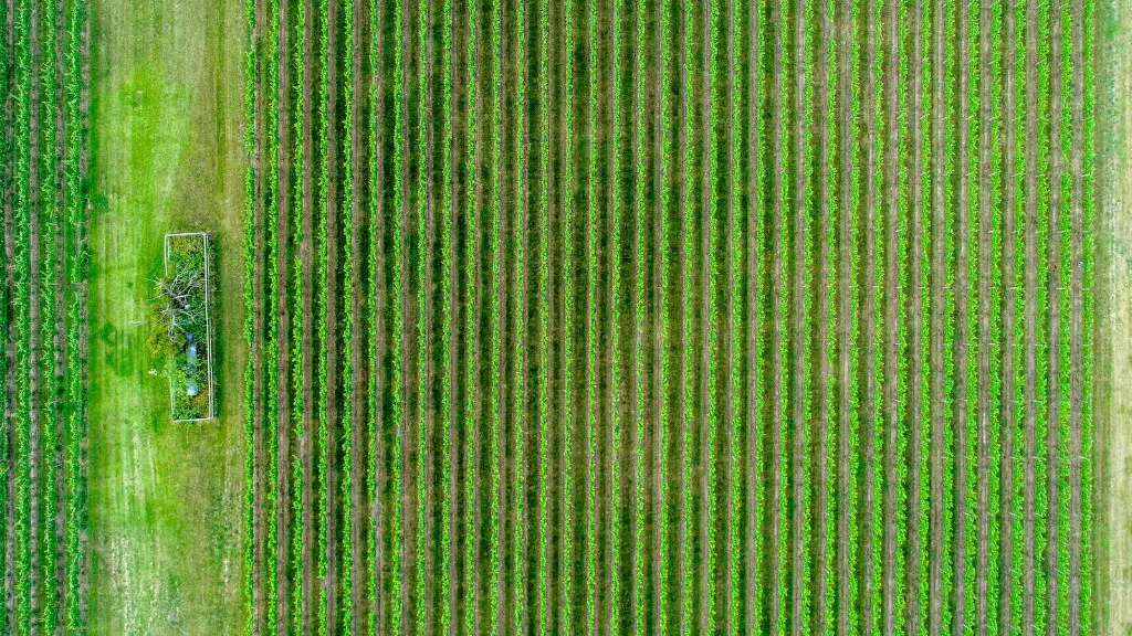 How much methane does agriculture produce?