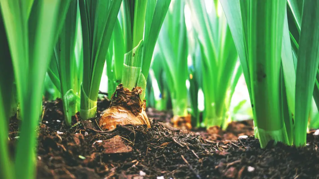 How to help agriculture as a student?