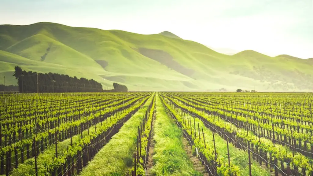 Why is alluvium important to agriculture?