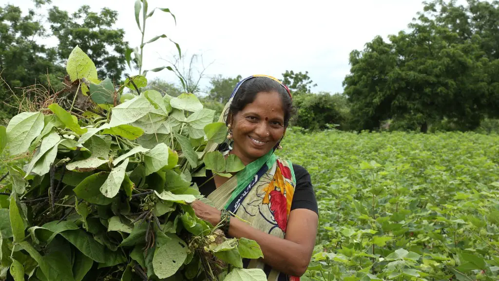 Is agriculture a technology?