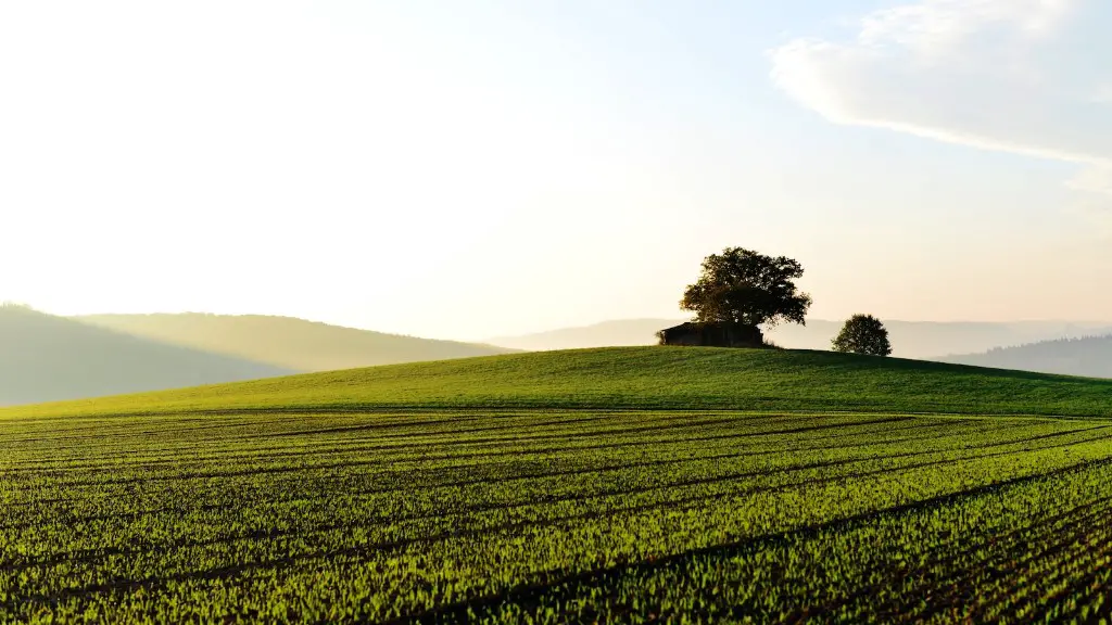 Why do we study agriculture?