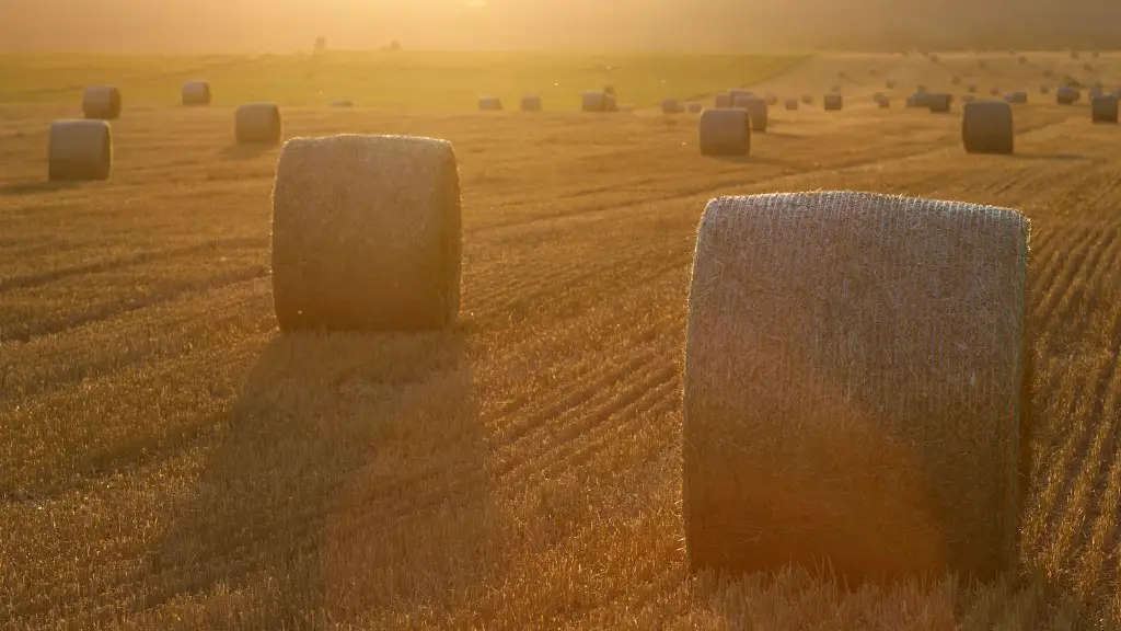 How will american agriculture affect the future of the planet?