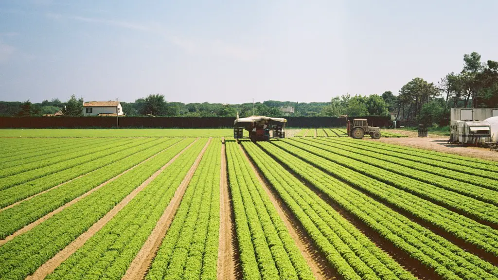 Where does most of the agriculture in europe take place?