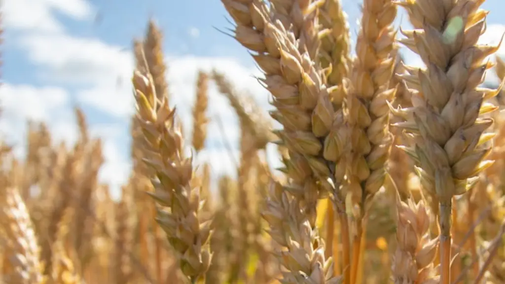 What is competition in agriculture?