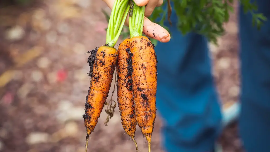 How much food does agriculture produce?