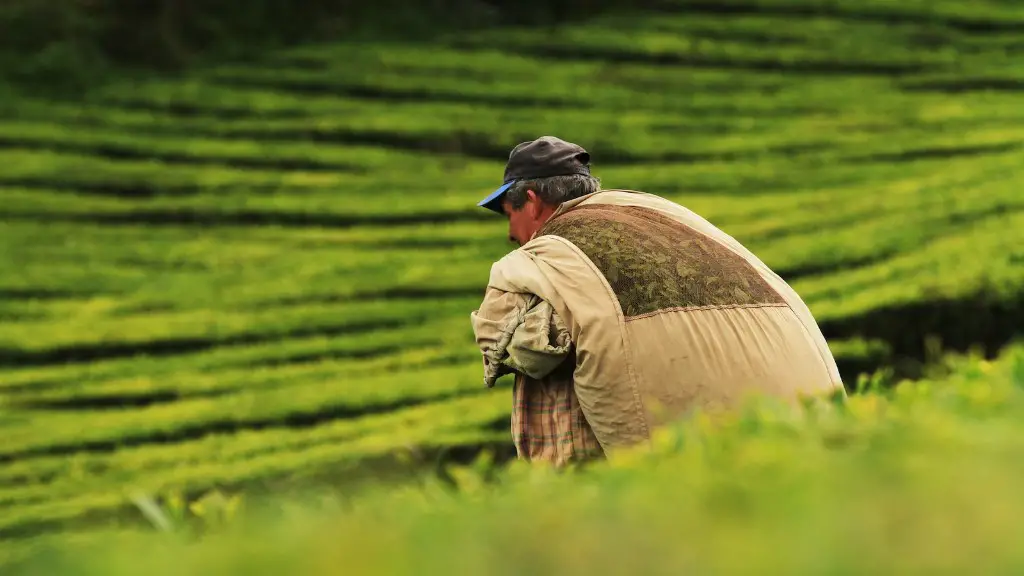 What Is Mowing In Agriculture