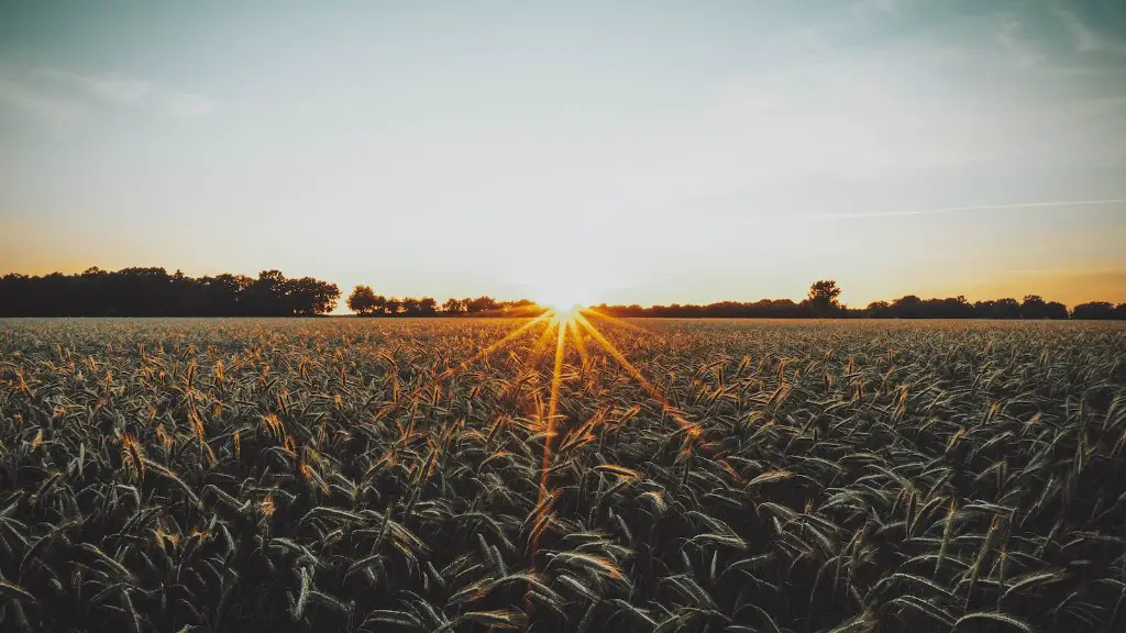 What percentage of americans work in agriculture?