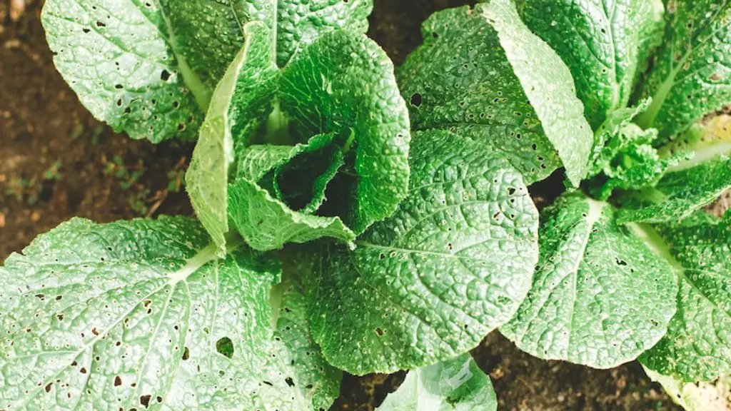 What is mixed farming in agriculture?