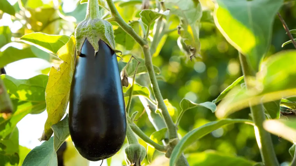 What is the role of agriculture in food security?