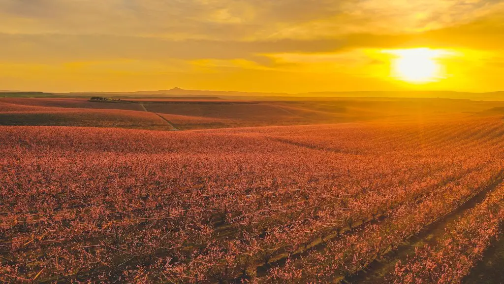 Who is the head of the department of agriculture?