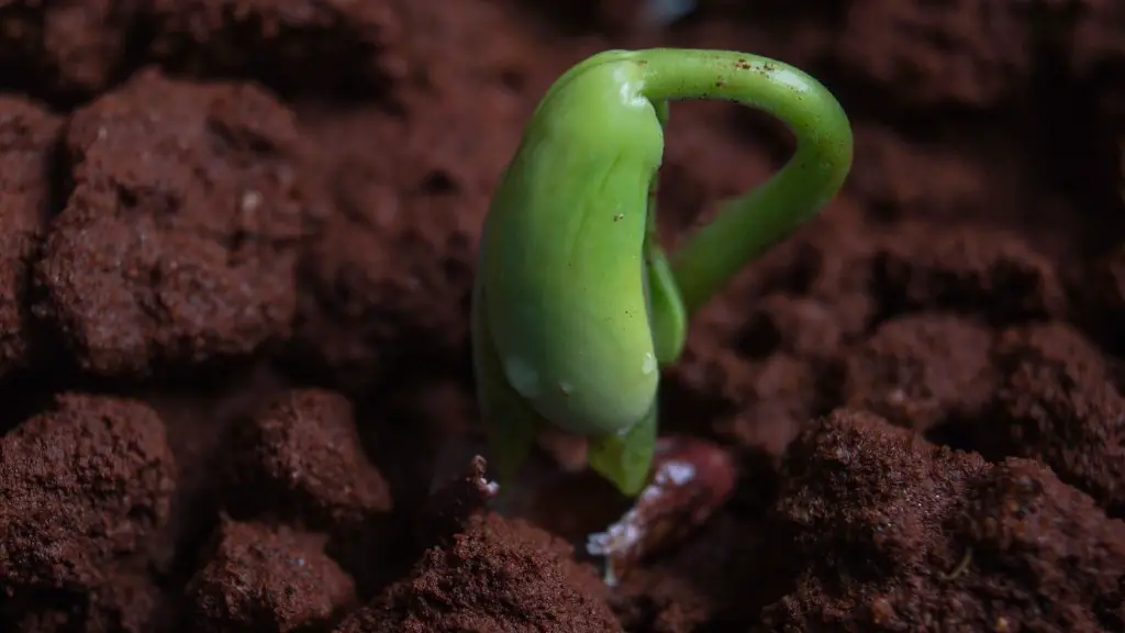 How Did Agriculture Change People’s Lives