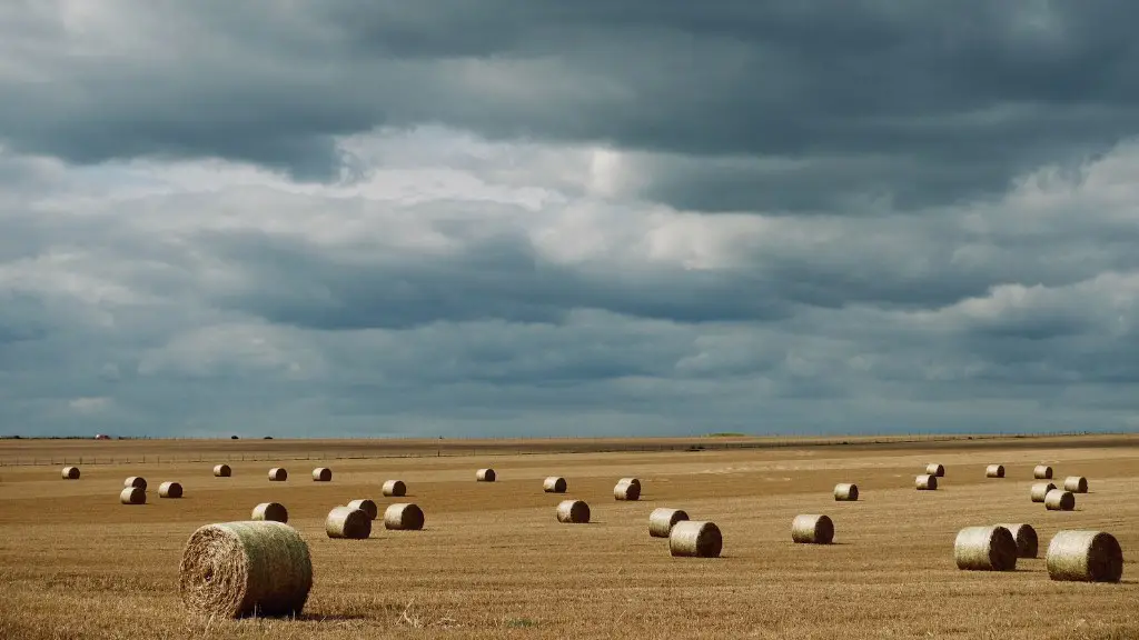 What are the most common pesticides used in agriculture?