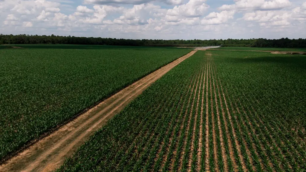 Why is a liquid nitrogen tank used in animal agriculture?