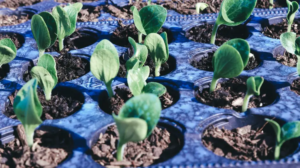 How To Improve Sustainable Agriculture