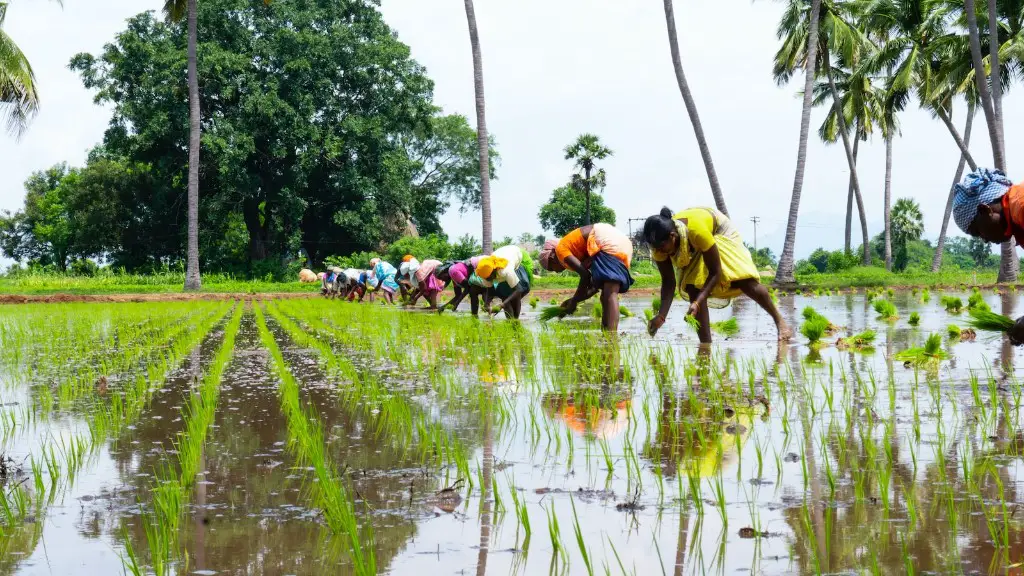 When was agriculture established?