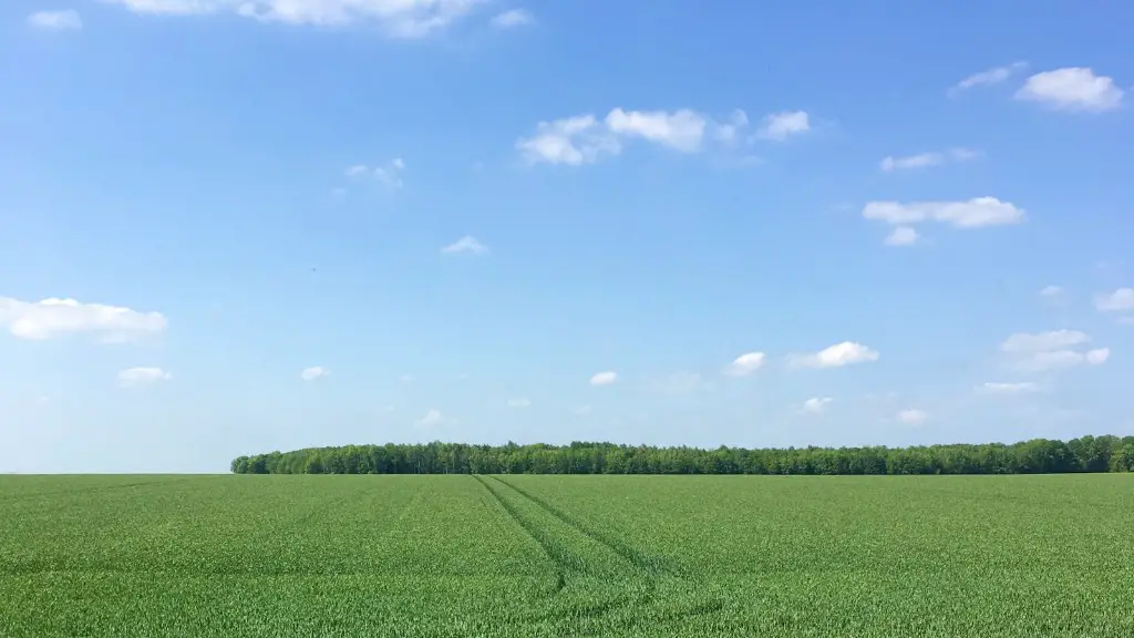 Can an art student study agriculture?