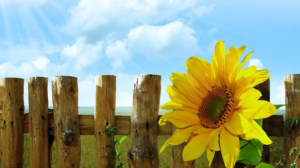 What Are The 3 Components Of Agriculture Education