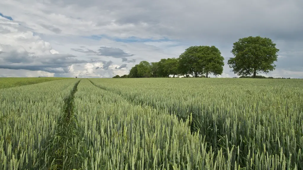 What is planting in agriculture?