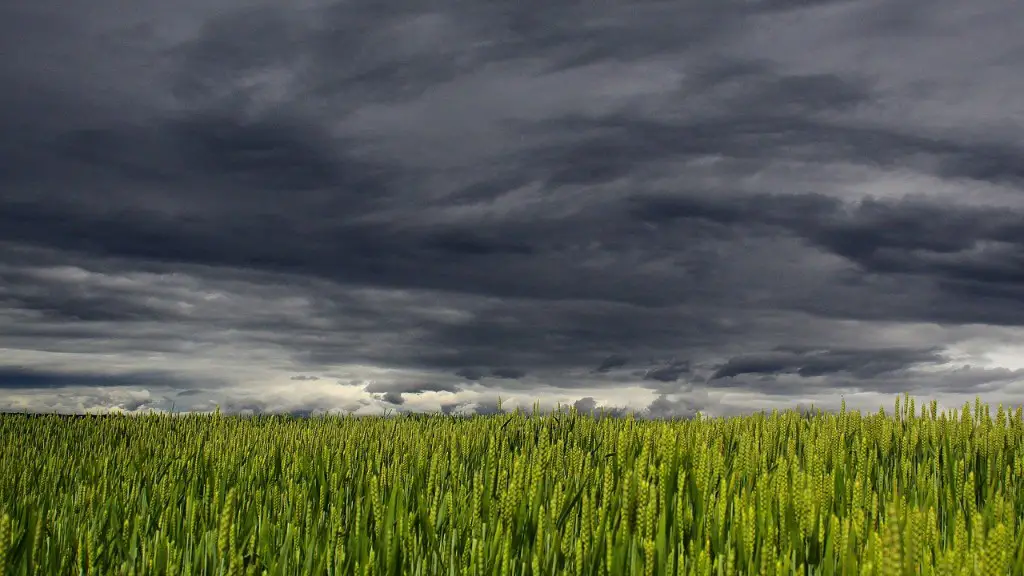 How does agriculture influence climate change?