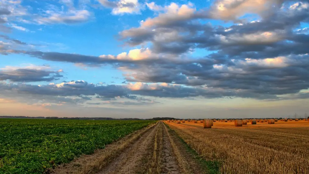 Can you get a phd in agriculture?