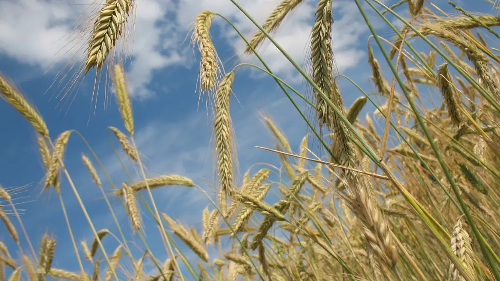 How did agriculture help cause the great depression?