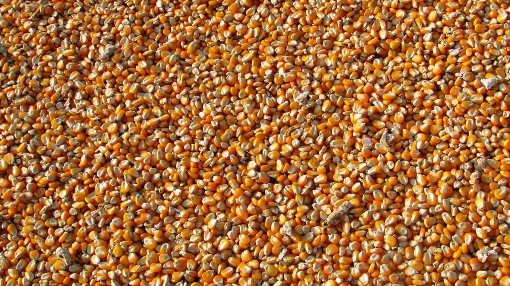 How to remove salt from water for agriculture?