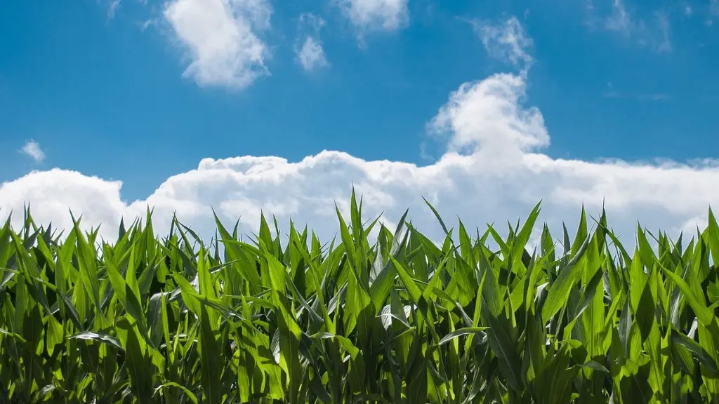 Is silt loam soil good for agriculture?