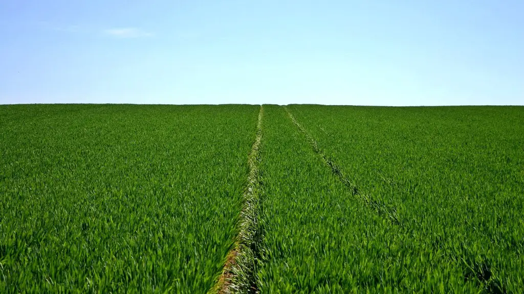 How To Do Agriculture Course