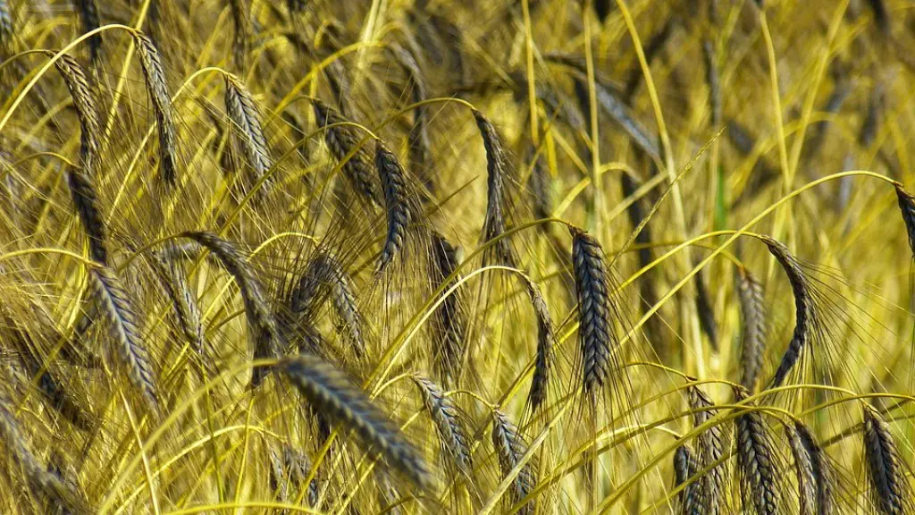 What happened to southern agriculture during the civil war?