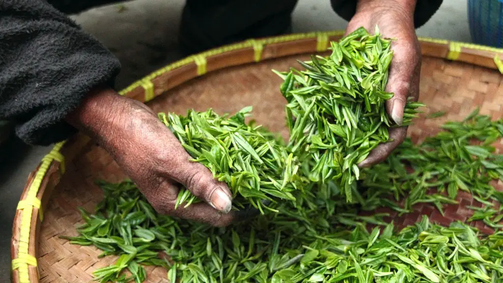 How does conventional agriculture affect the environment?