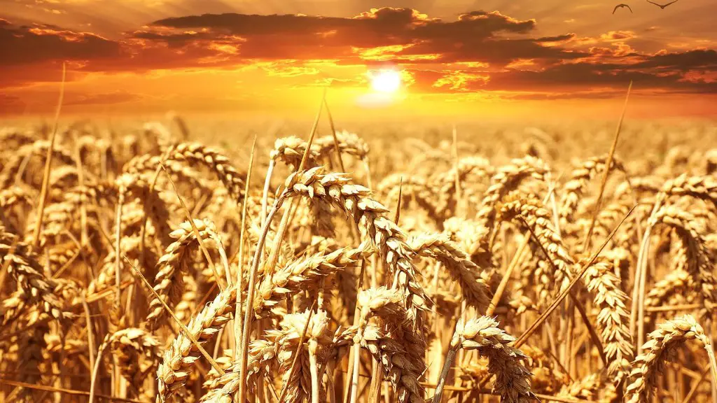 What is smallholder agriculture?
