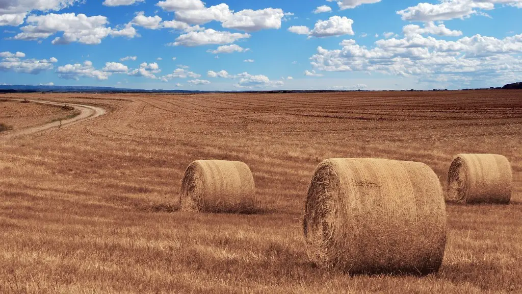 What is agriculture and types of agriculture?
