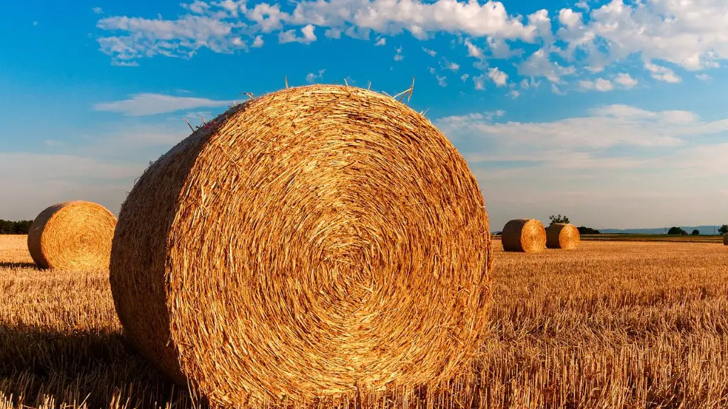 How to get agriculture loan?