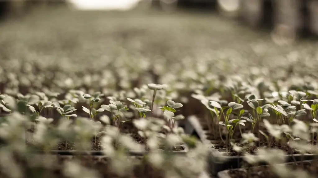 How Does Agriculture Affect Land