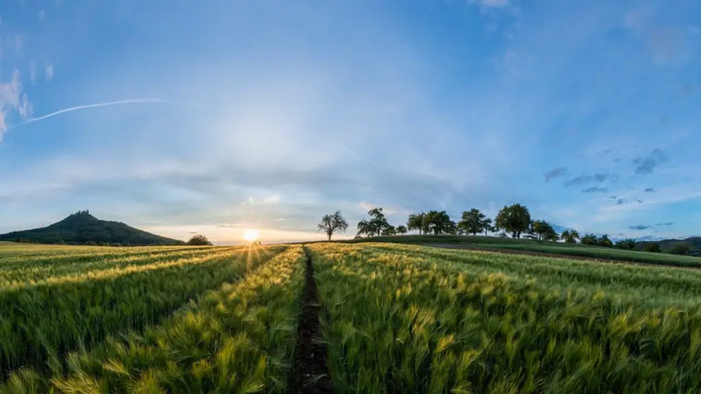 What are the different forms of agriculture?