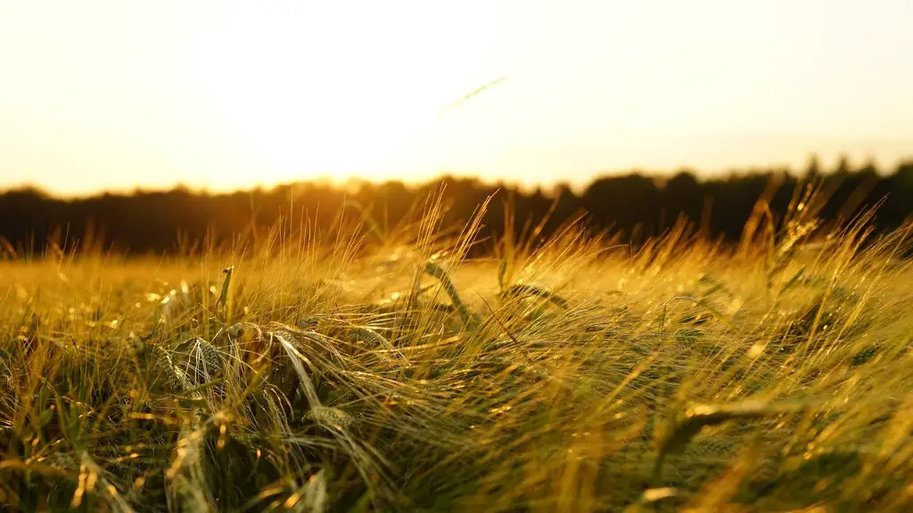How did technology transform agriculture in georgia after ww2?