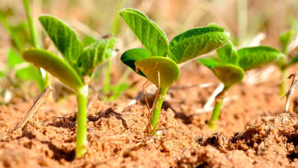 How does agriculture cause soil erosion?
