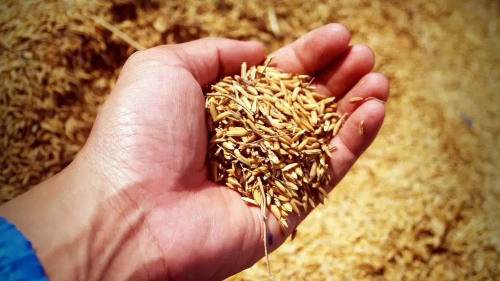 How did peanut butter impact agriculture and society?