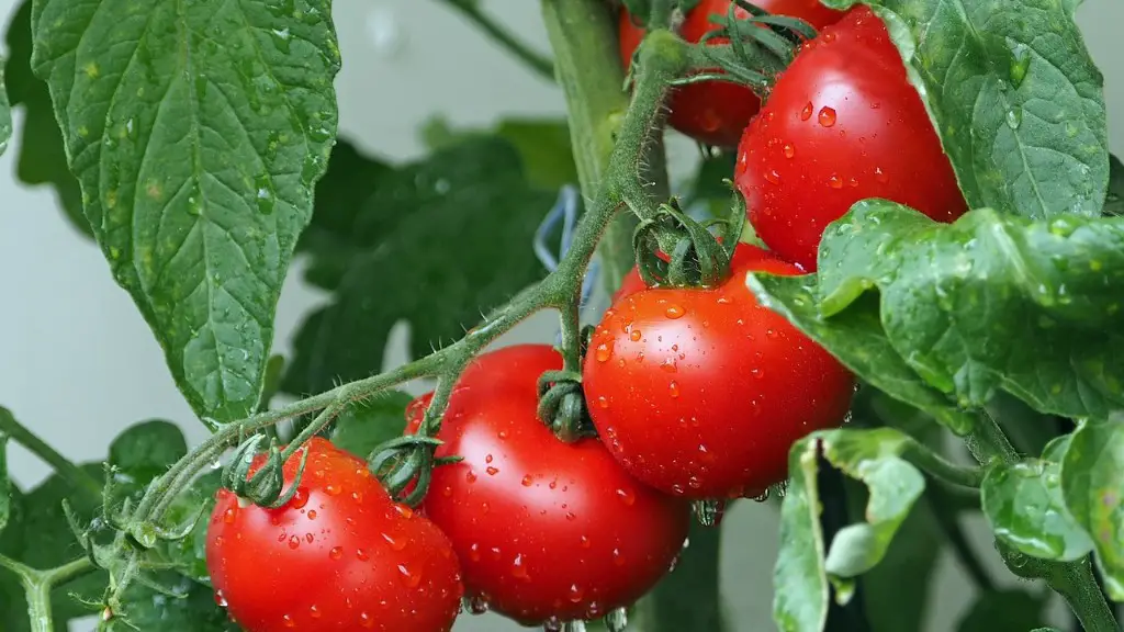 What Are The Careers In Agriculture