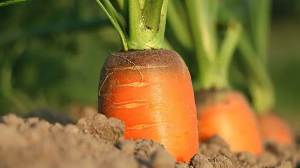 What is non agriculture?