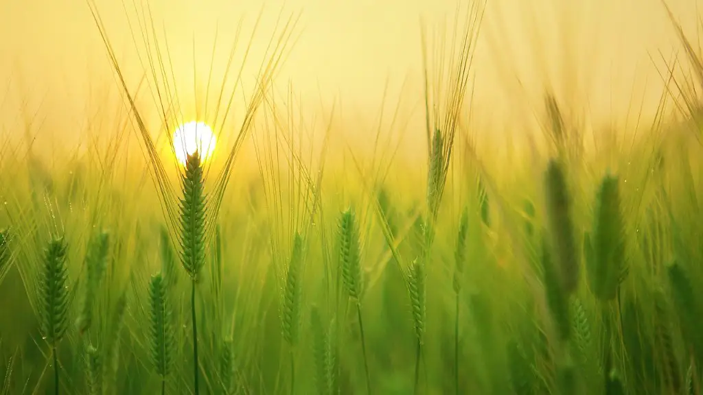 Why Was Agriculture So Important