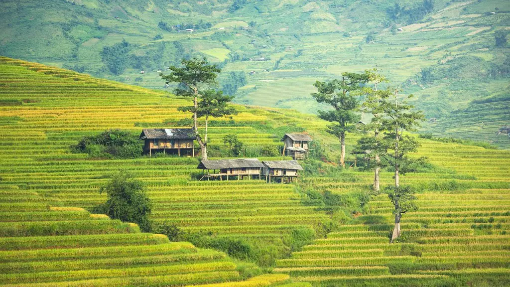 Does Climate Change Affect Agriculture