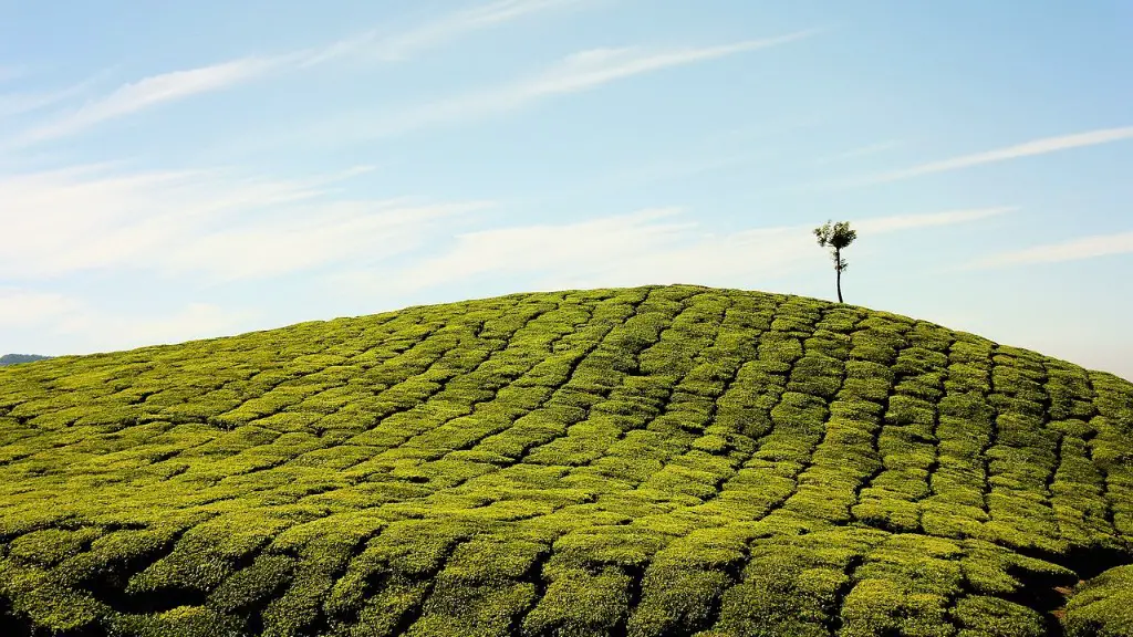 How is methane produced in agriculture?