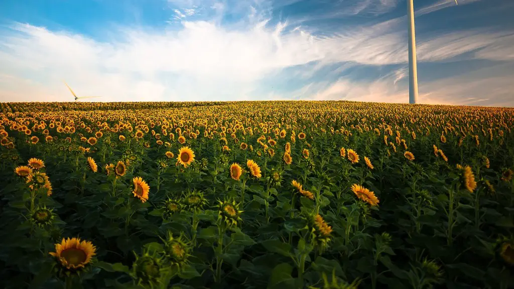 How did the steel plow improve agriculture?