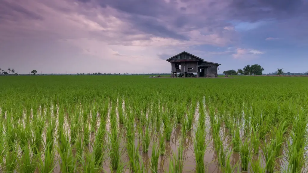 When Did Industrial Agriculture Begin