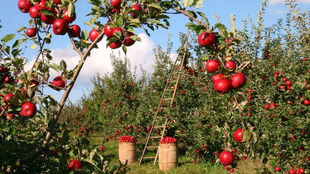 How much land in the us is used for agriculture?